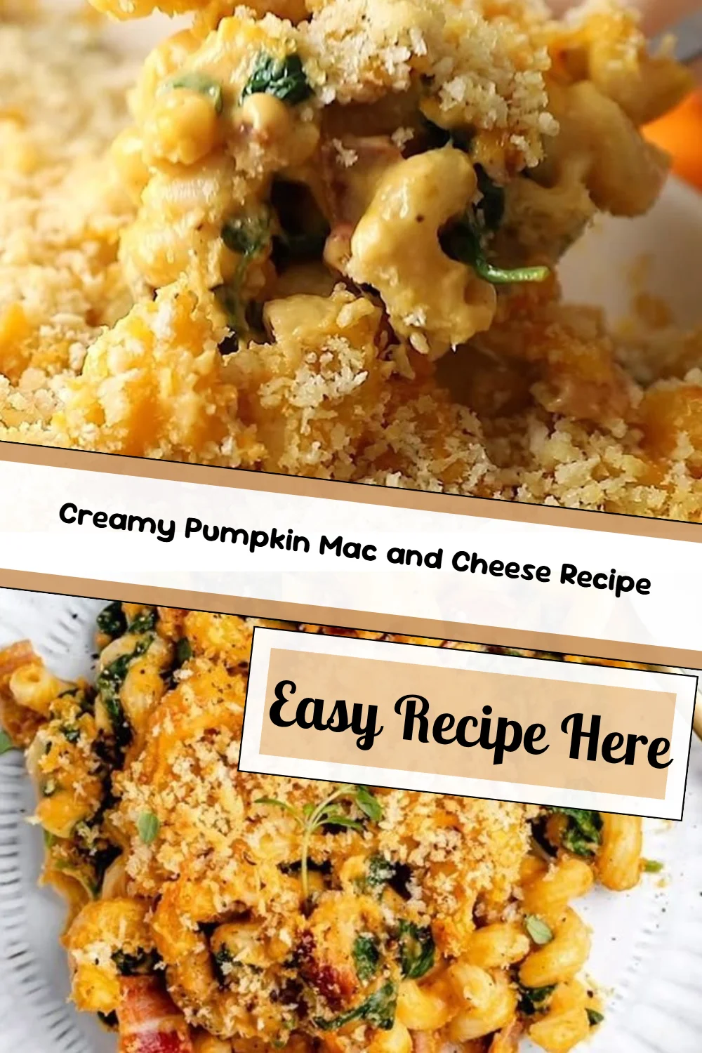 Creamy Pumpkin Mac and Cheese Recipe