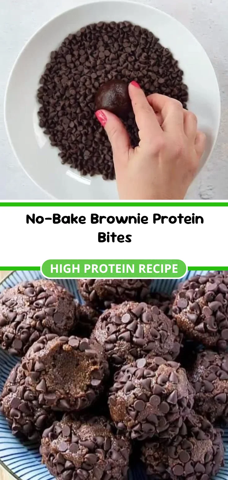 No-Bake Brownie Protein Bites